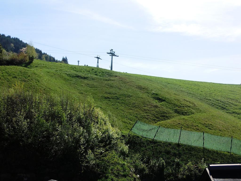 Haus Bergheim Daire Saalbach-Hinterglemm Dış mekan fotoğraf