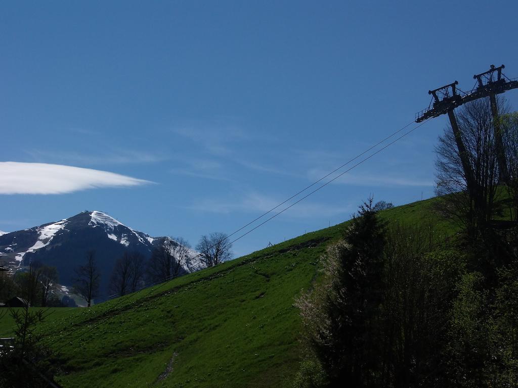 Haus Bergheim Daire Saalbach-Hinterglemm Dış mekan fotoğraf