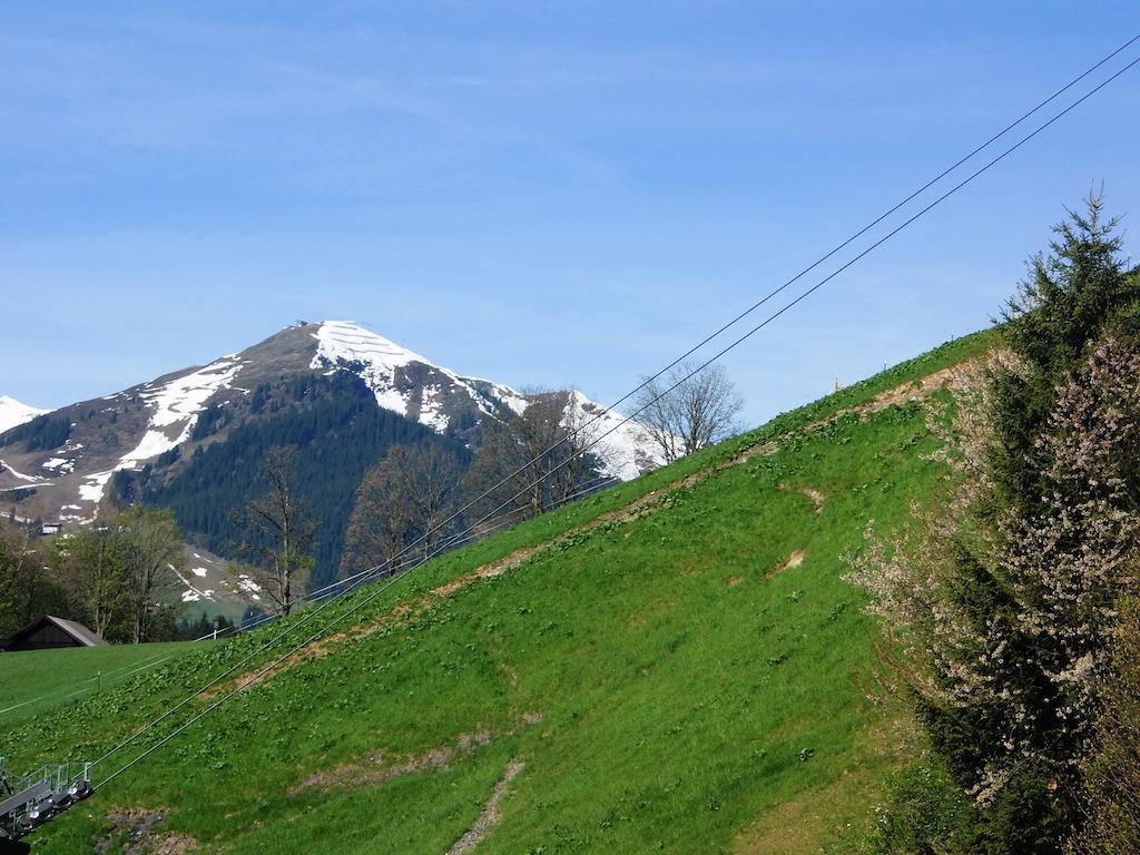 Haus Bergheim Daire Saalbach-Hinterglemm Dış mekan fotoğraf